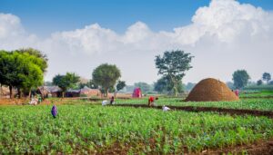 A photorealistic depiction of rural India showcasing activities from an agriculture and rural entrep (5)